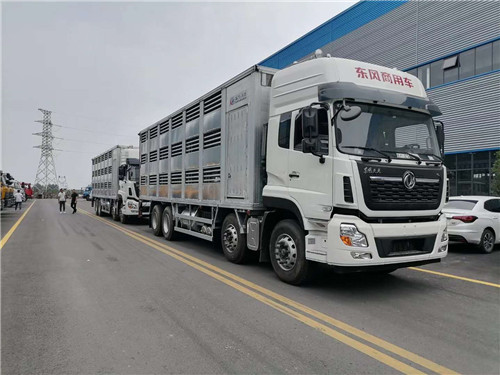 東風(fēng)天龍前四后八全鋁合金畜禽運輸車 (3).jpg